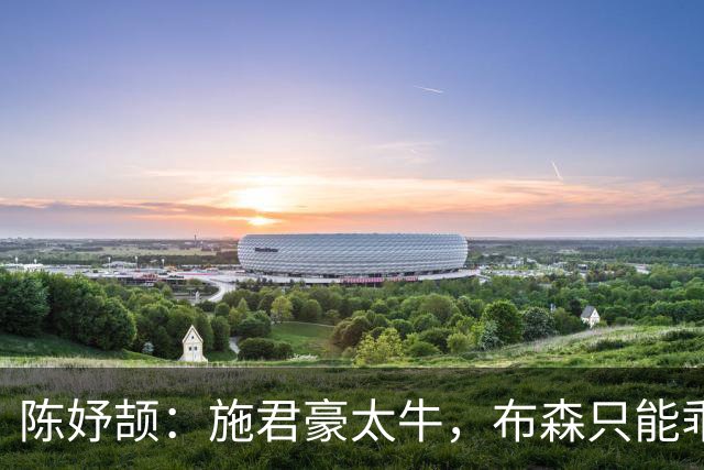 陈妤颉：施君豪太牛，布森只能乖乖当小弟